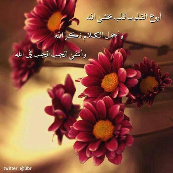 effatelsabbagh